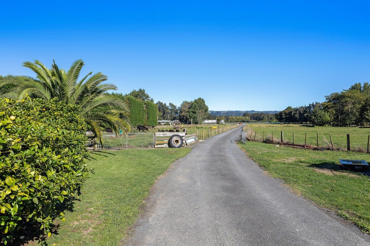 169 Hallett Road, Otakiri, Whakatane - Carousel 23