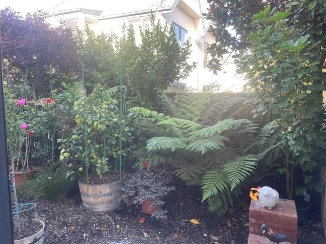 5 Verlamio Lane, Edgeware, Christchurch - Carousel 8