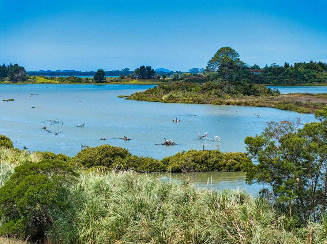 36 Sedgemoor Lane, Tahawai, Katikati - Carousel 2