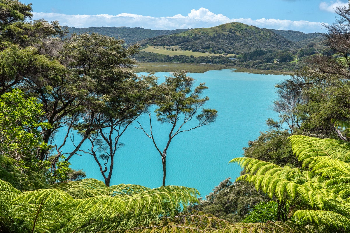 30 Albert Crescent, Ostend, Waiheke Island - Carousel 17