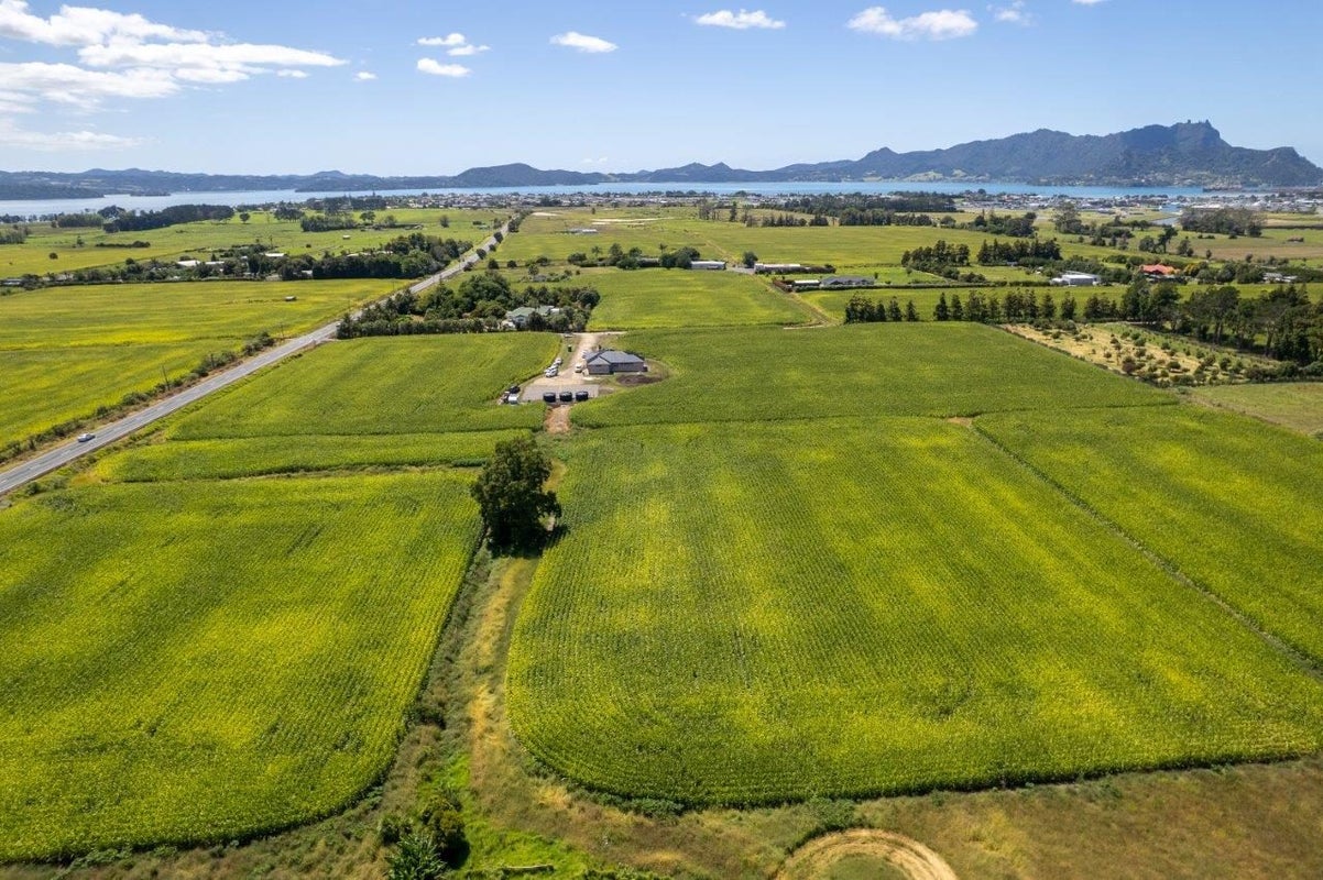 89B One Tree Point Road, One Tree Point, Whangarei - Carousel 11