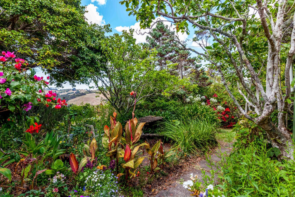 484 Ridge Road, Mahurangi East, Warkworth - Carousel 20