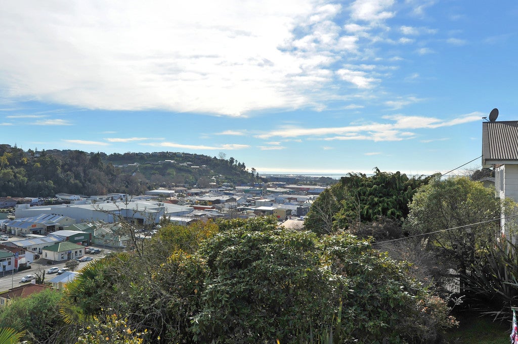 40 Konini Street, Nelson South, Nelson - Carousel 2
