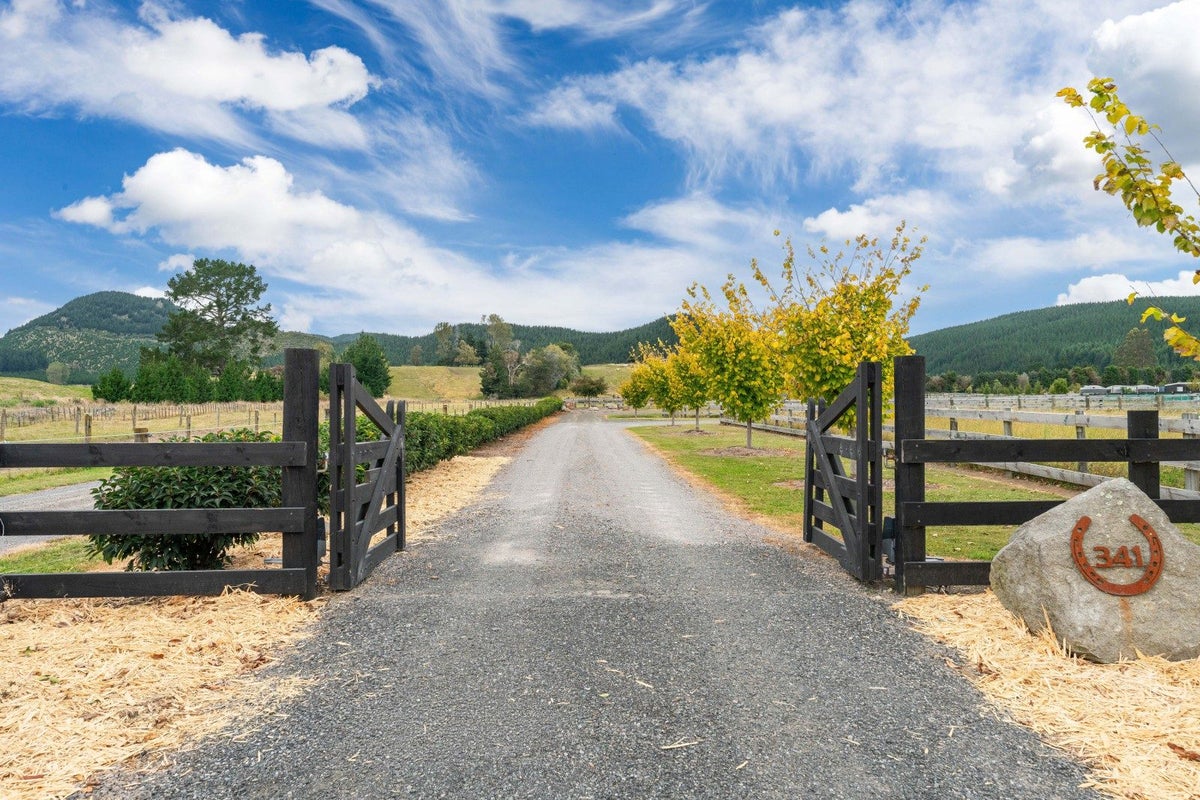 341 White Road, Broadlands, Reporoa - Carousel 24