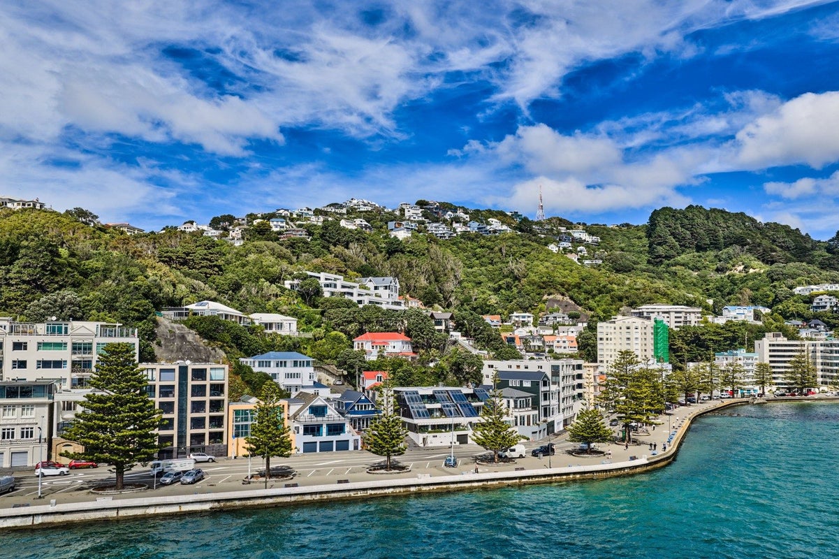 338 Oriental Parade, Oriental Bay, Wellington - Carousel 30