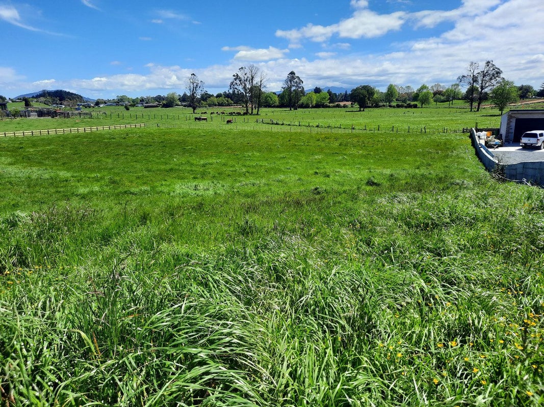 136 Flat Road, Kihikihi, Te Awamutu - Carousel 3