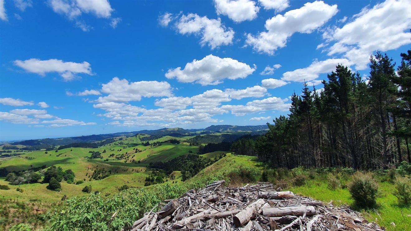 0 Honeymoon Valley Road, Peria, Kaitaia - Carousel 2