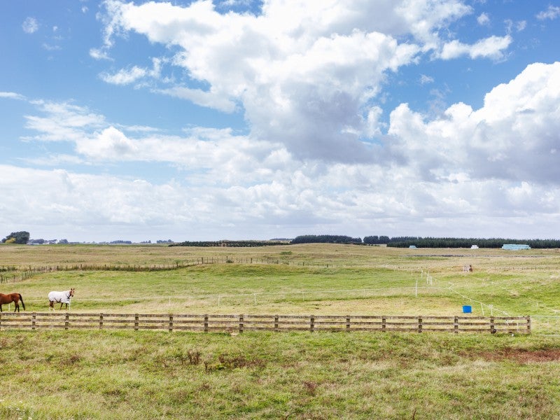 133 Taikorea Road, Glen Oroua, Palmerston North - Carousel 15