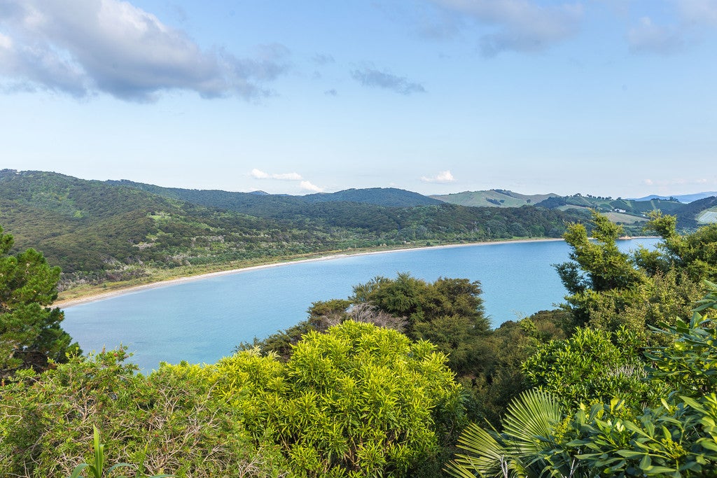6 Bella Vista Road, Omiha, Waiheke Island - Carousel 18