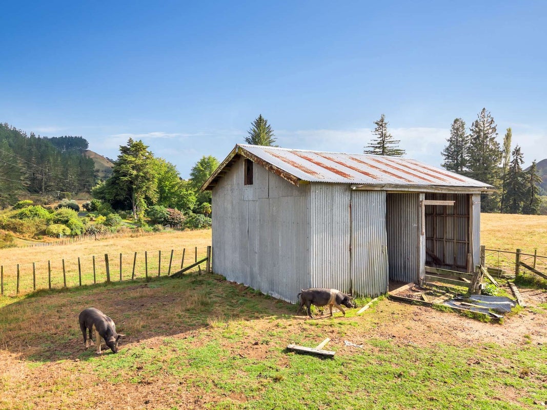 0 Okaihae Road, Taumarunui, Taumarunui - Carousel 1