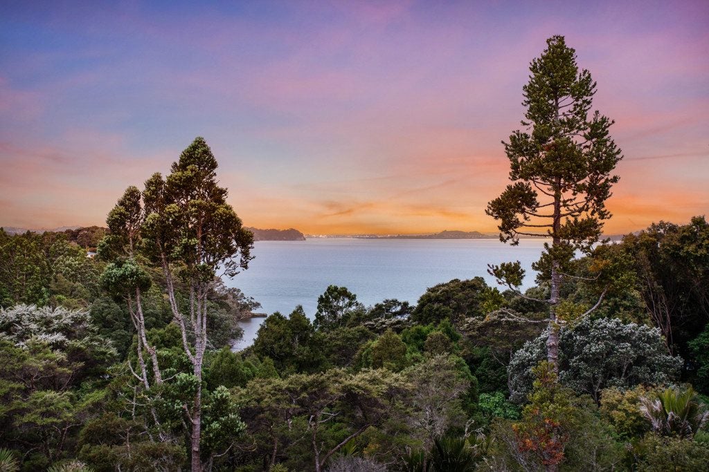 50 Tanekaha Road, Titirangi, Auckland - Carousel 2