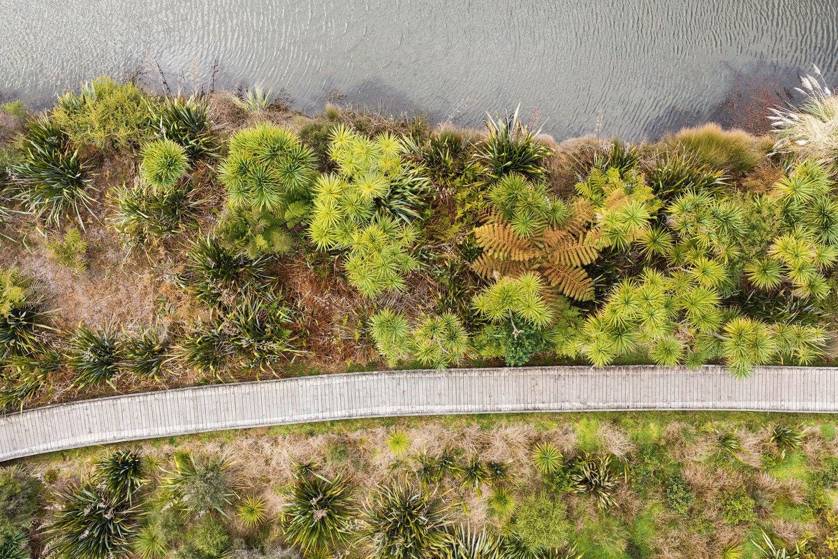 79 Solomon Street, Brookfield, Tauranga - Carousel 18