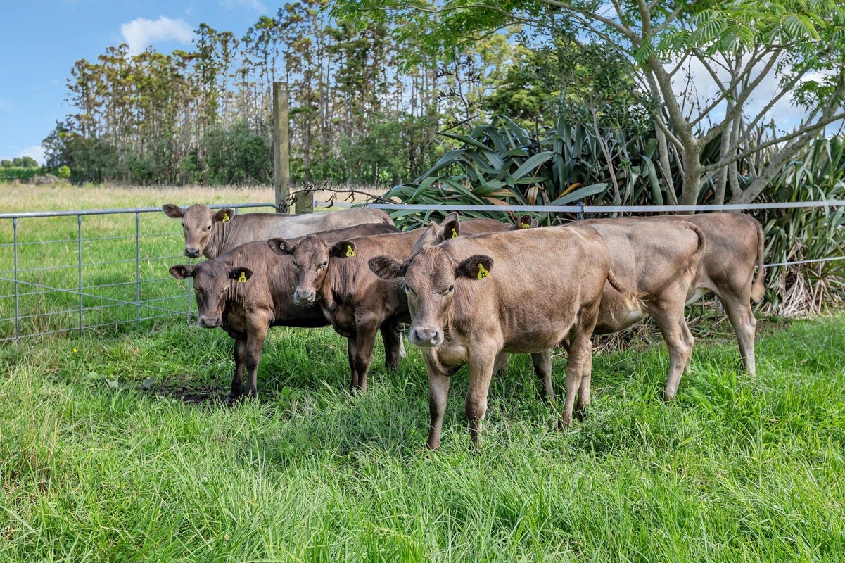 712 One Tree Point Road, Whangarei - Carousel 2
