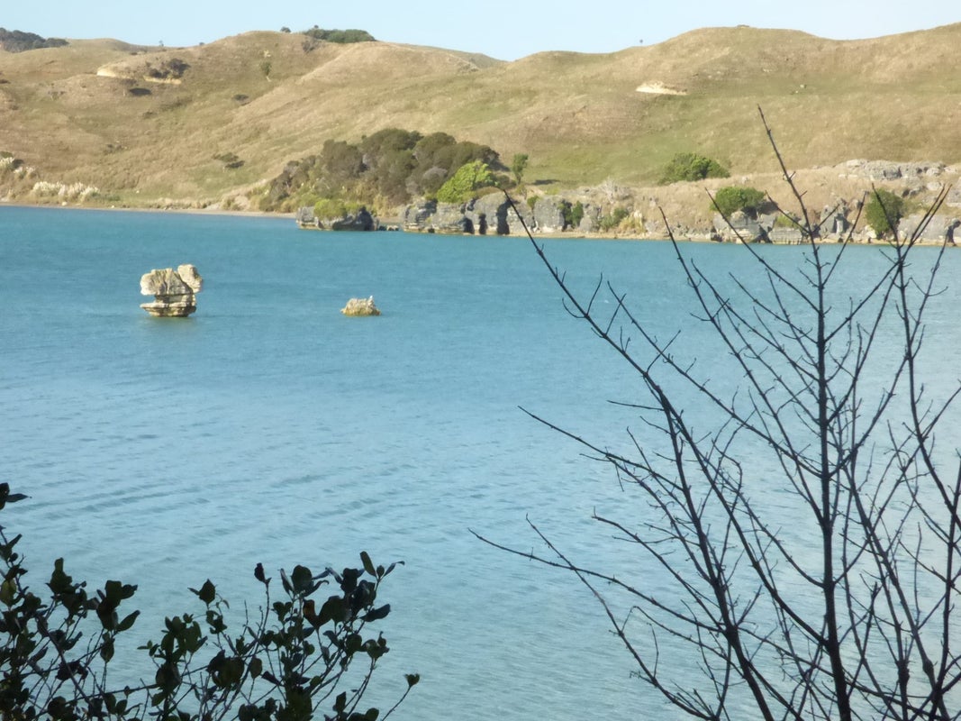 6 Ryan Road, Te Akau - Carousel 2