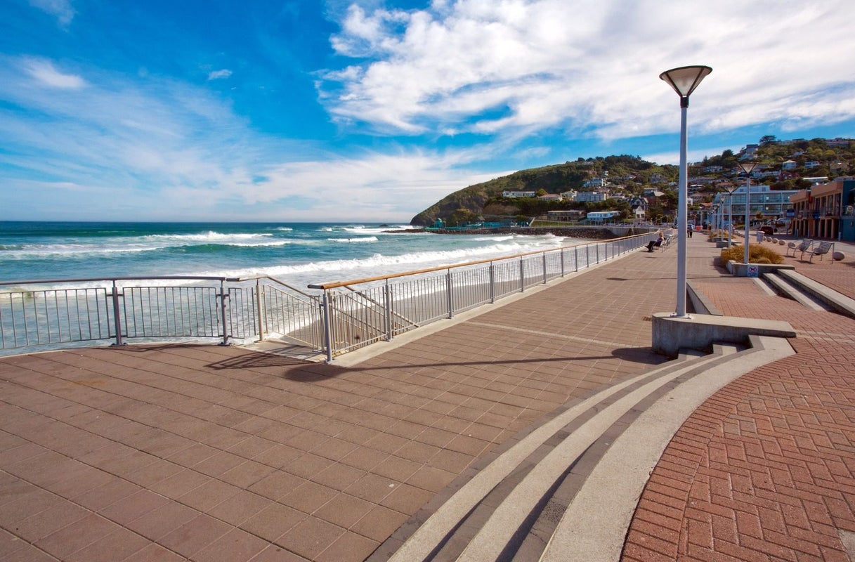 231 Forbury Road, Saint Clair, Dunedin - Carousel 2
