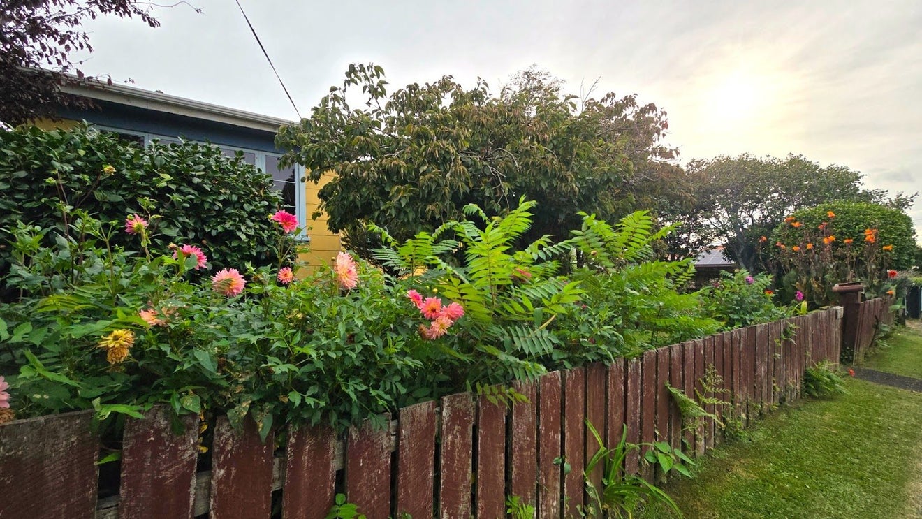 21 Regent Street, Waihi, Waihi - Carousel 2