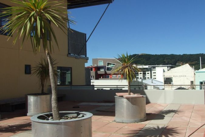 29/26 Marion Street, Te Aro, Wellington - Carousel 1