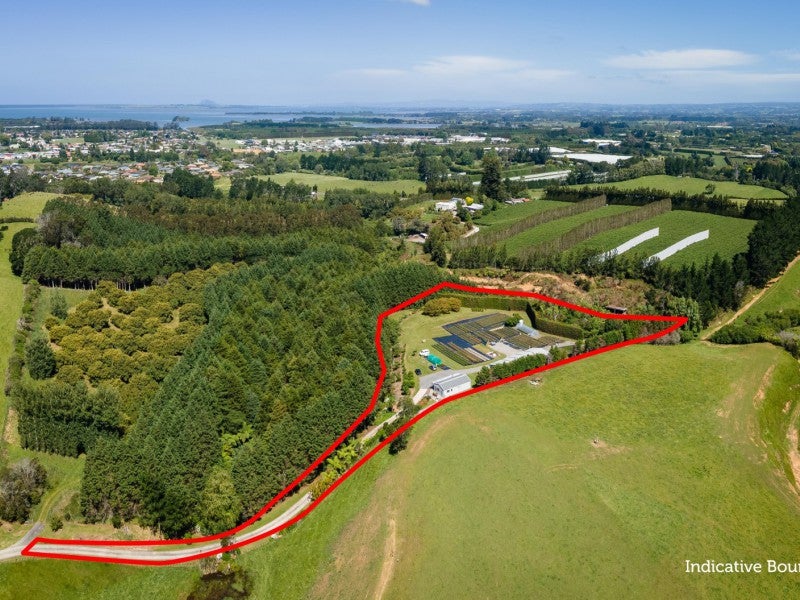 67 Busby Road, Katikati, Katikati - Carousel 20