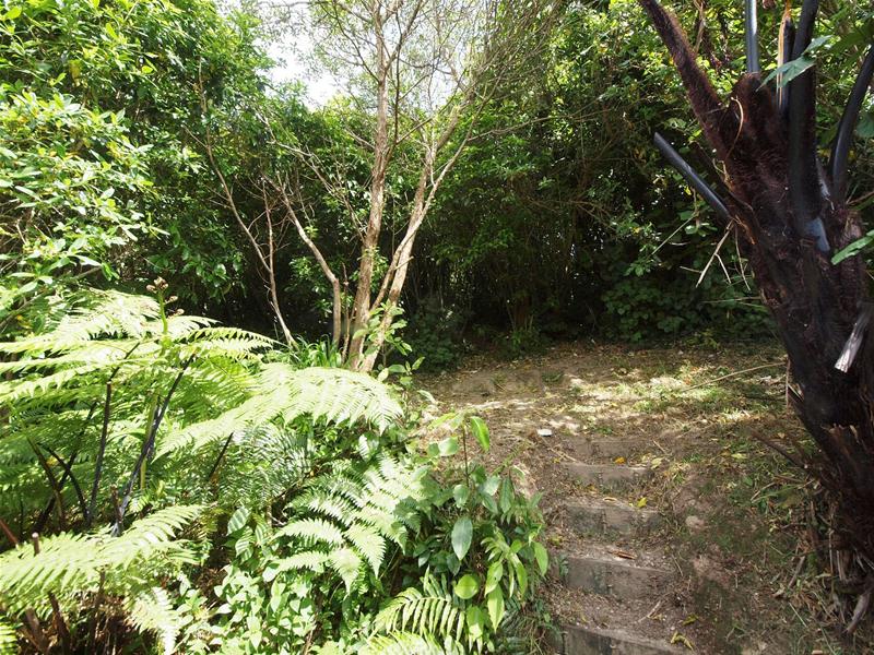 38 Cambrian Street, Churton Park, Wellington - Carousel 15