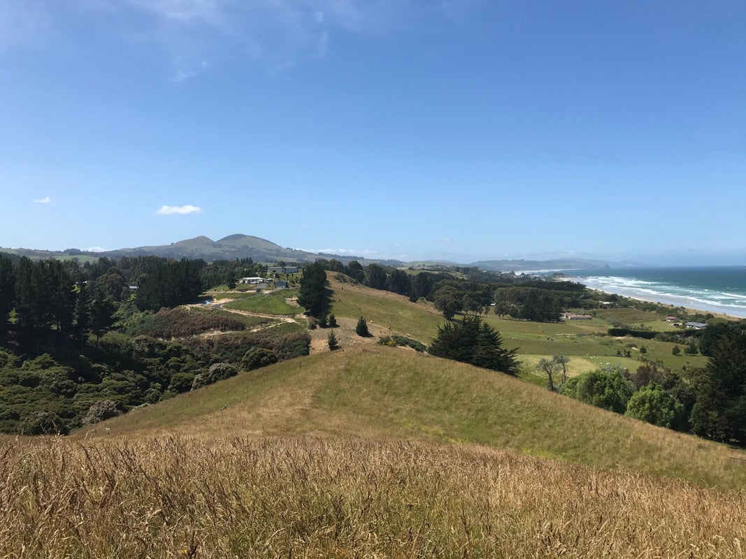 74 Taieri Mouth Road, Kuri Bush, Brighton - Carousel 2