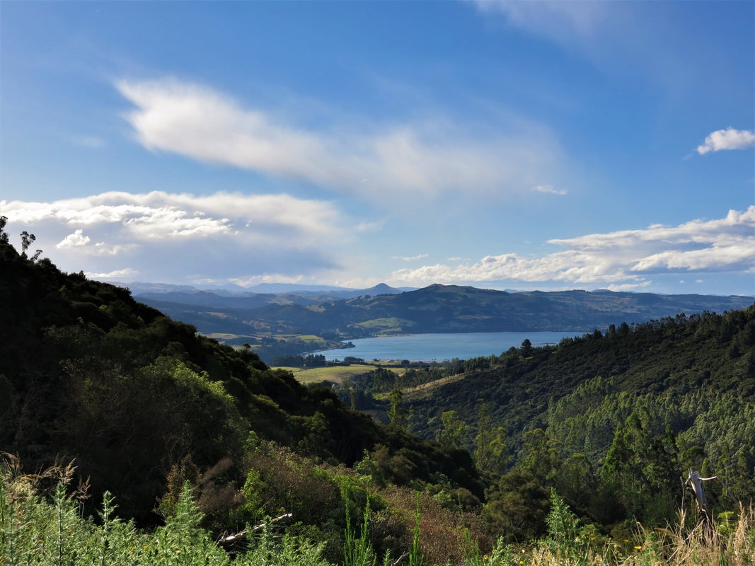 533 Mount Cargill Road, Mount Cargill, Waitati - Carousel 1