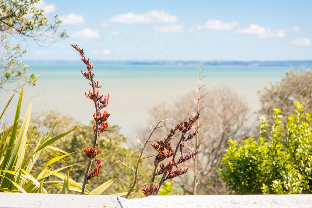 2/45 TAUNTON Terrace, Blockhouse Bay, Auckland - Carousel 2