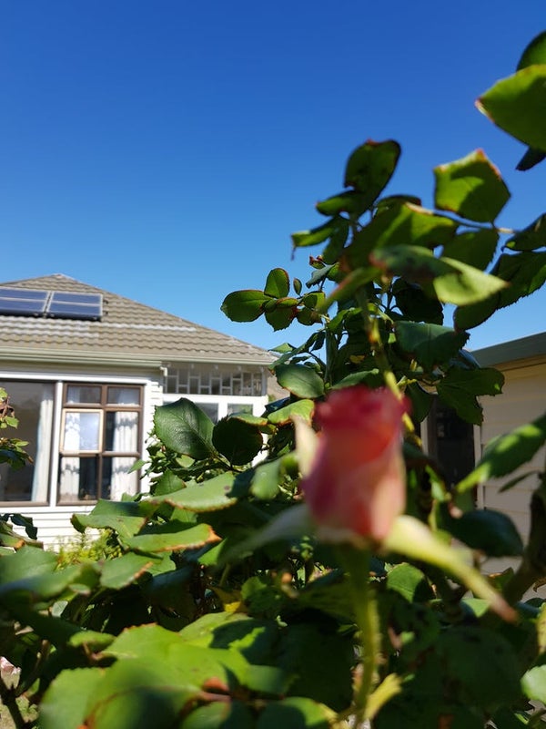 81 Wiggins Street, Sumner, Christchurch - Carousel 7
