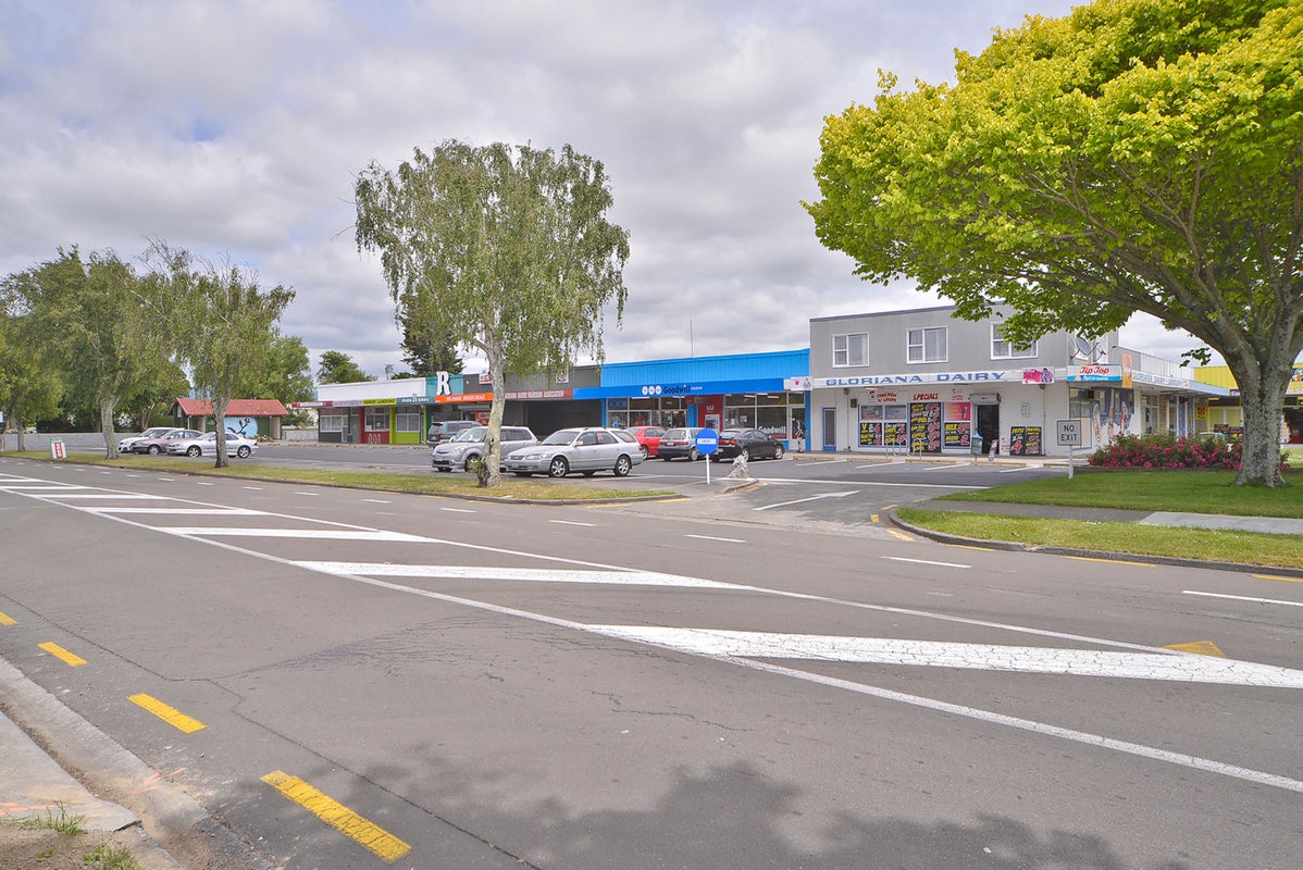 96 Highbury Avenue, Highbury, Palmerston North - Carousel 16