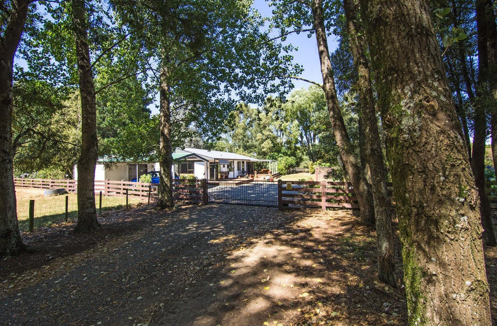 317 West Bush Road, Upper Plain, Masterton - Carousel 21