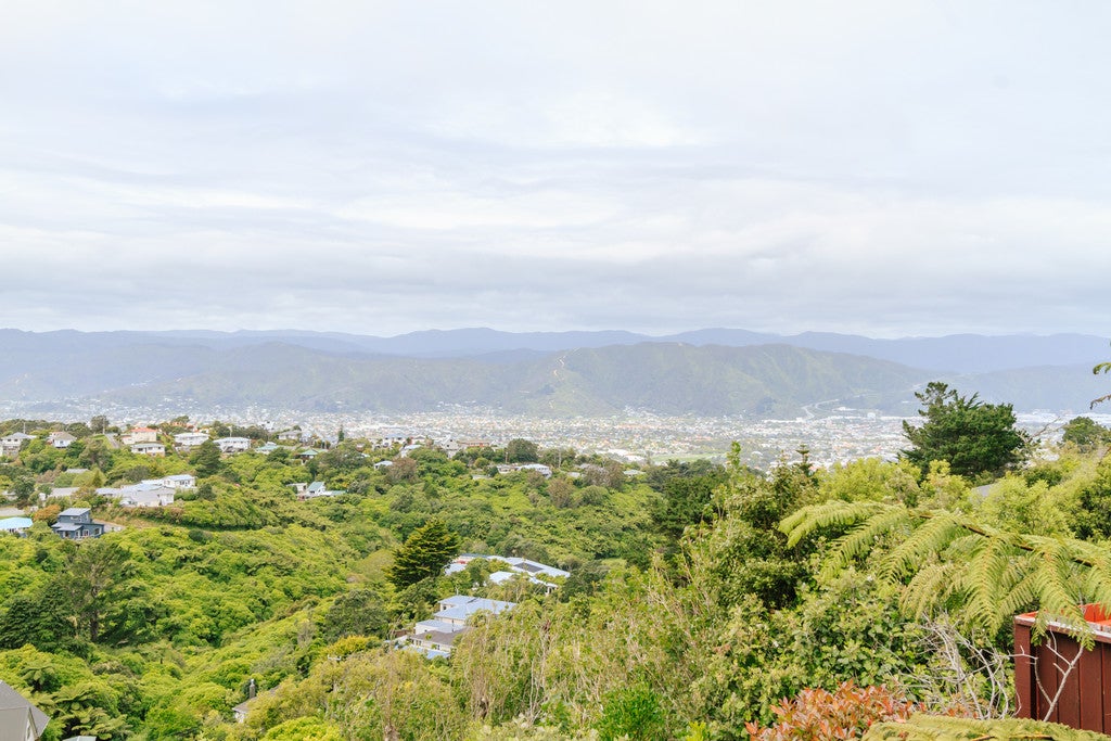 278 Dowse Drive, Maungaraki, Lower Hutt - Carousel 18