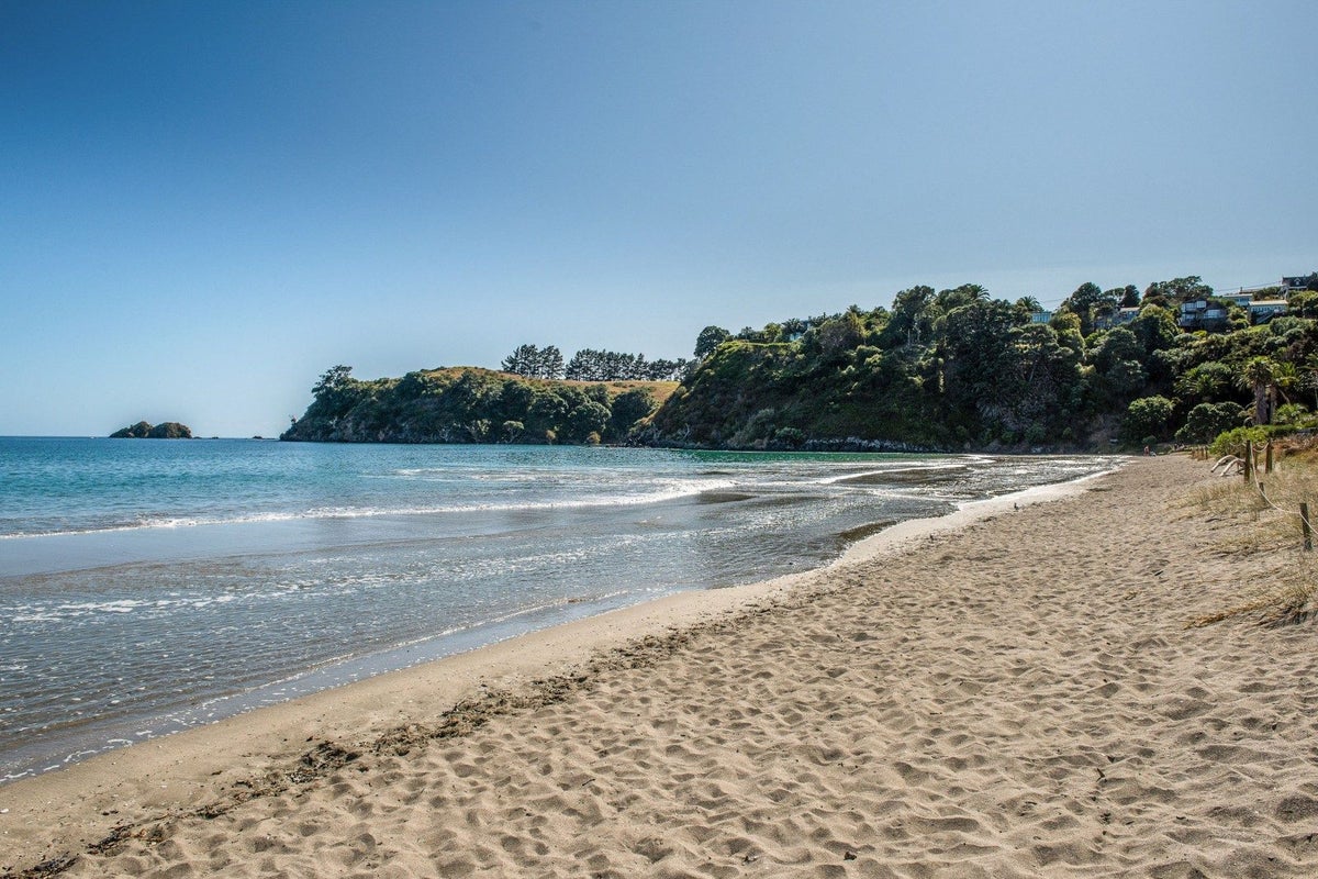 9 Tiri View Road, Palm Beach, Waiheke Island - Carousel 20