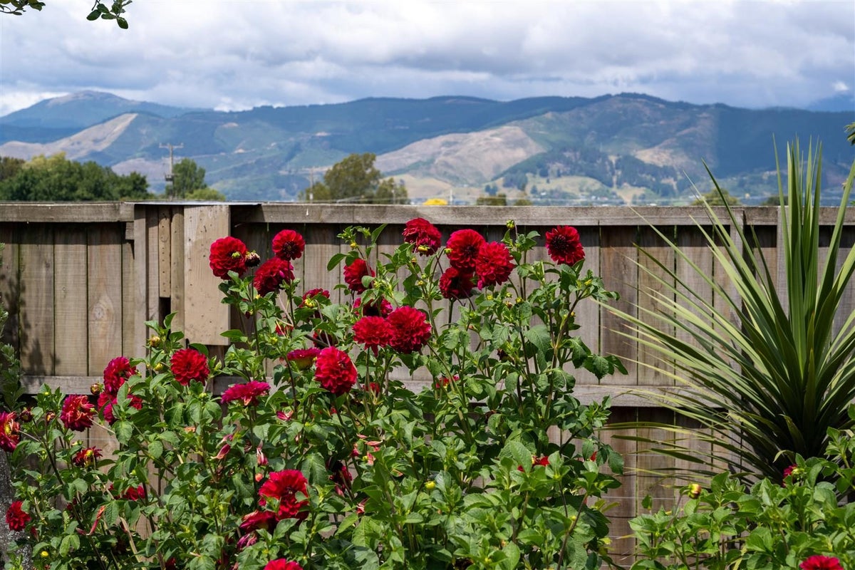 323 Appleby Highway, Appleby, Tasman, Nelson / Tasman - Carousel 50