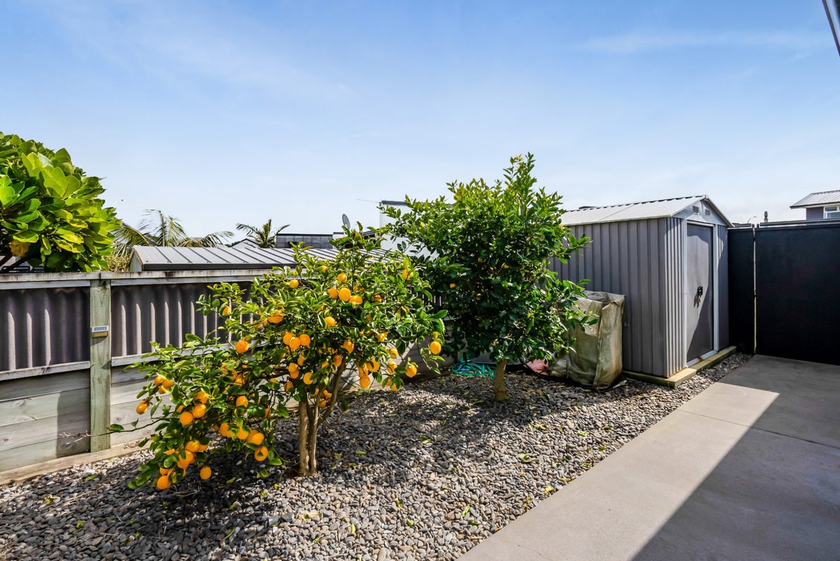65 Links Drive, Waiwhakaiho, New Plymouth - Carousel 50
