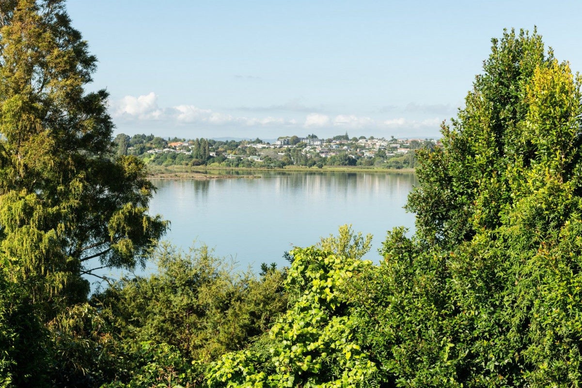 17B Roderick Street, Otumoetai, Tauranga - Carousel 18