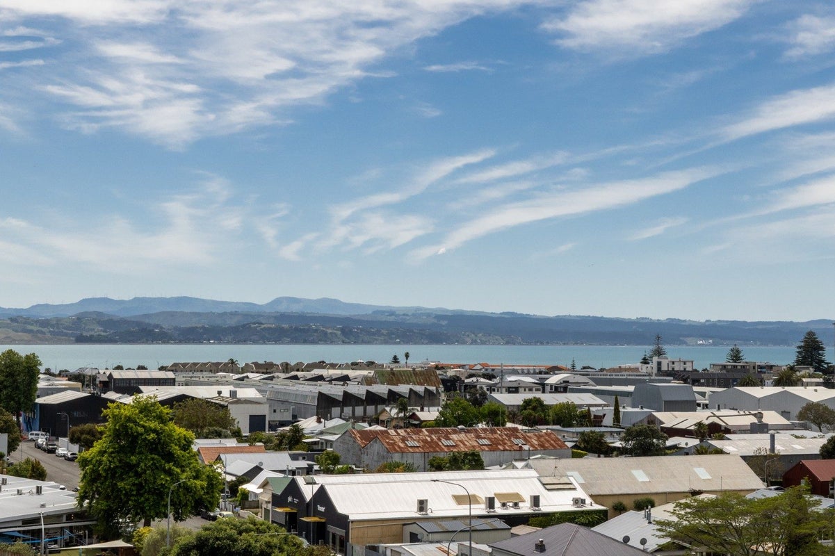 8 Goldsmith Road, Hospital Hill, Napier, Hawke's Bay - Carousel 1