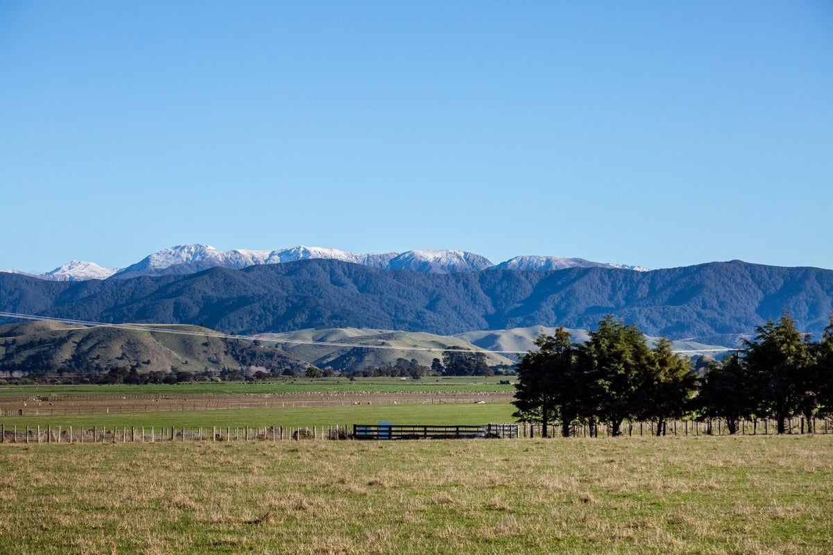 0 Opaki Kaiparoro Road, Kopuaranga, Masterton - Carousel 11