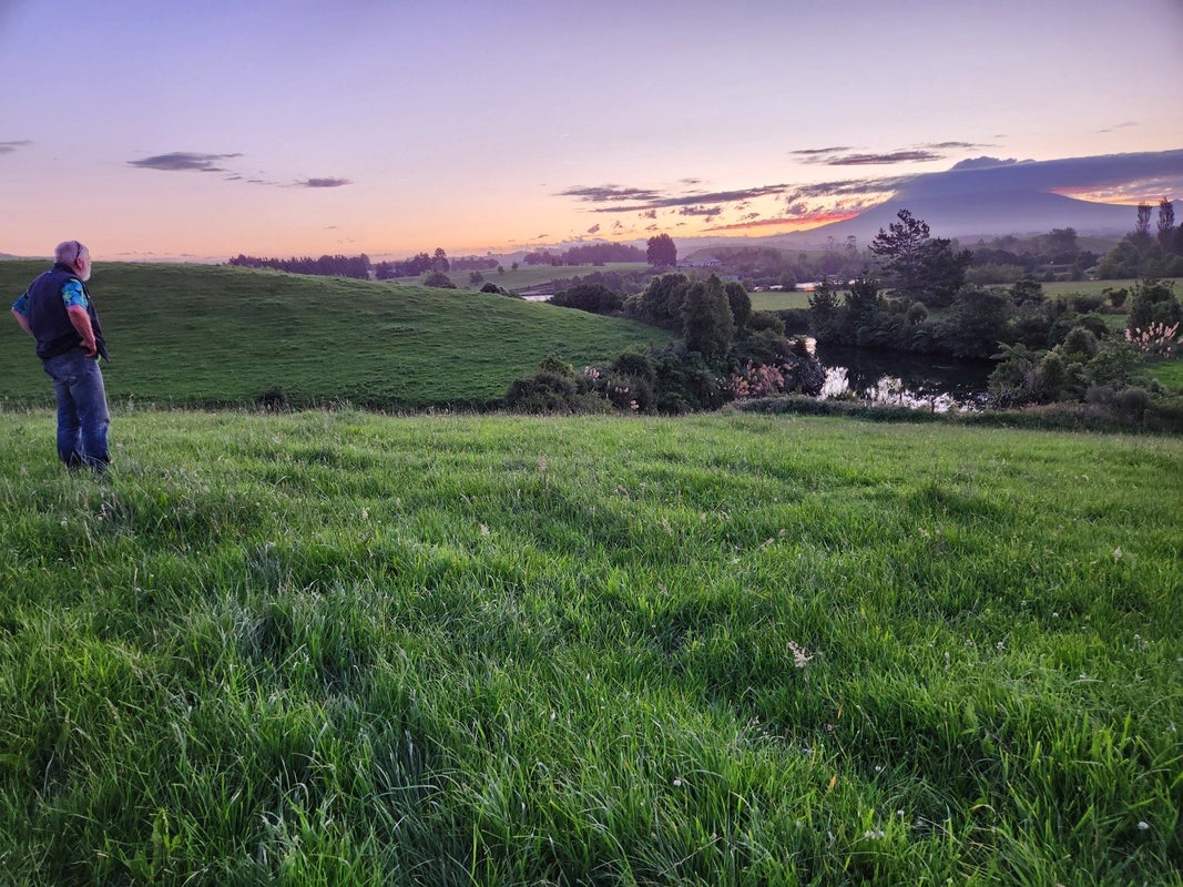 61 Kupara Road, Ratapiko, Inglewood - Carousel 2