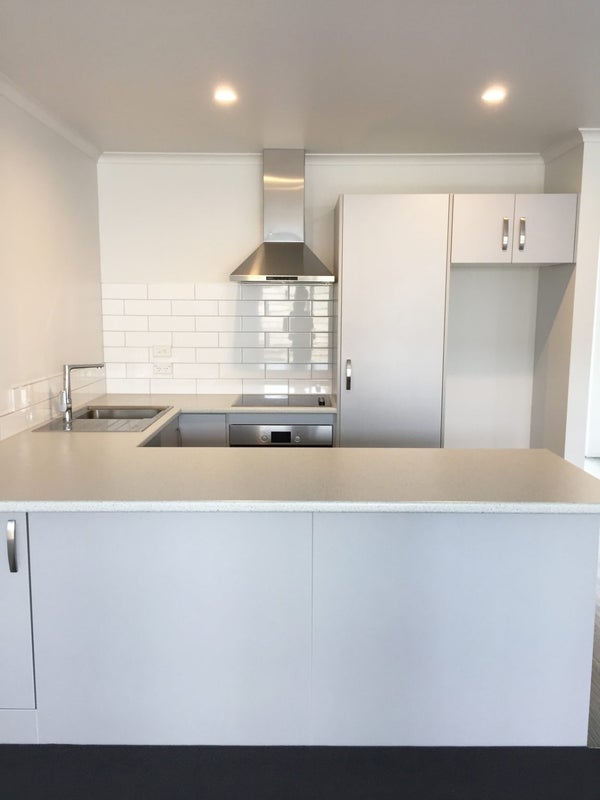 19/157 Ulster Street, Whitiora, Hamilton - Carousel 2