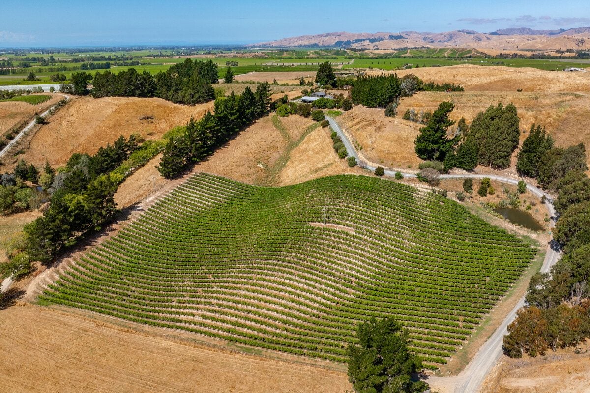 147 Brookby Road, Blenheim - Carousel 35