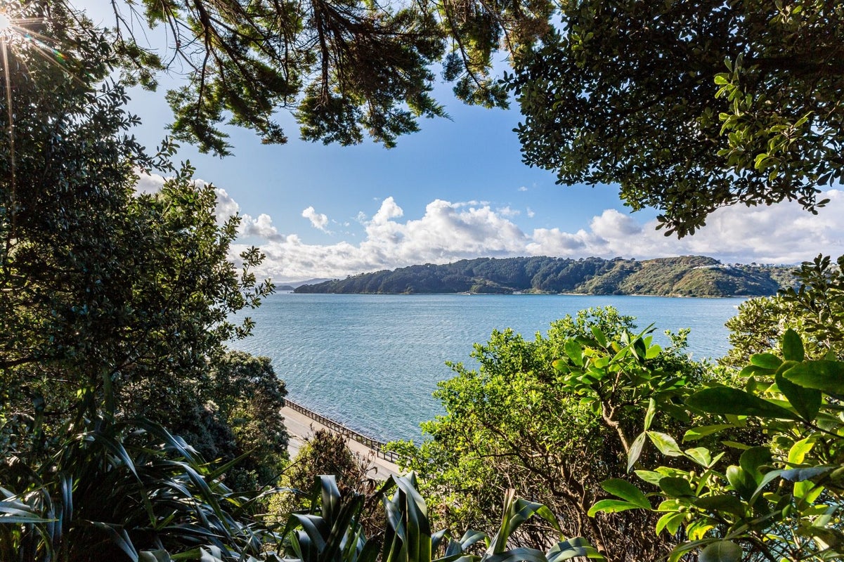 196 Evans Bay Parade, Roseneath, Wellington - Carousel 1