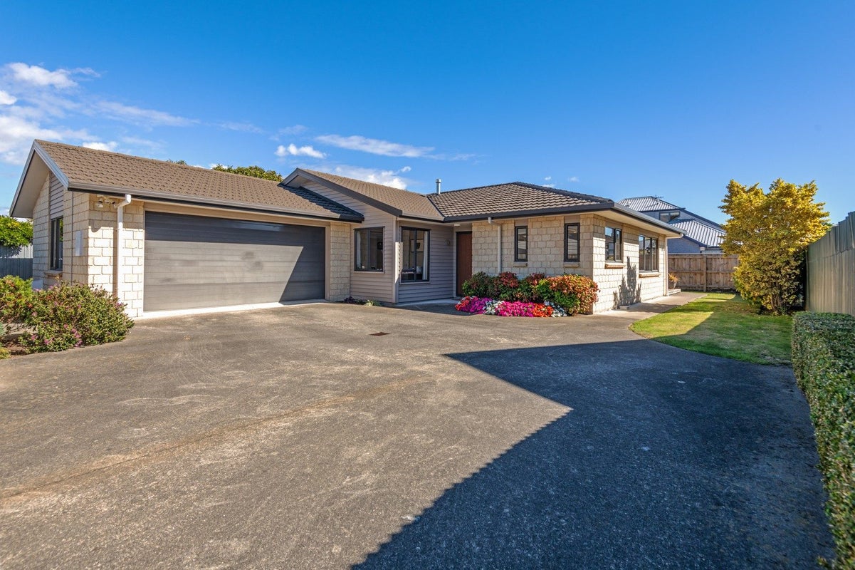 19A Manson Street, Terrace End, Palmerston North - Carousel 1
