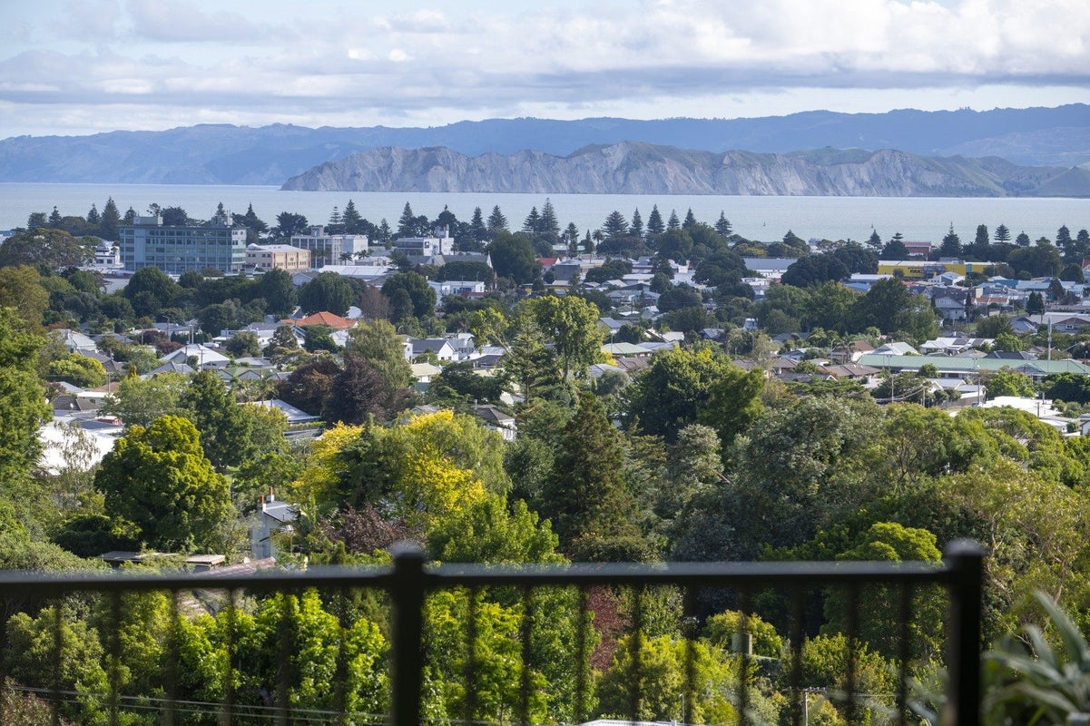 194 Ballance Street, Whataupoko, Gisborne - Carousel 50