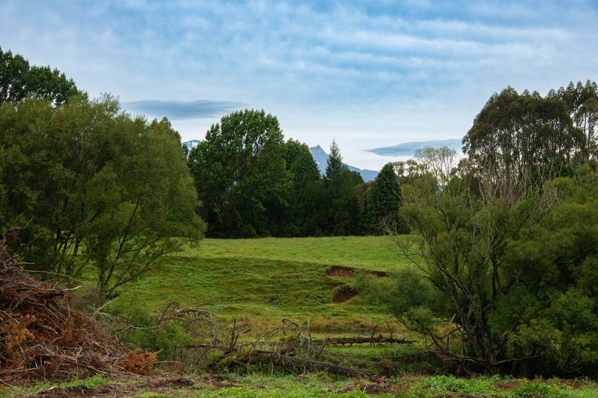 0 Makotuku Valley Rd (State Highway 4), Raetihi, Raetihi - Carousel 12