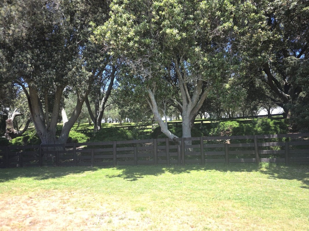 6 Tara Iti Way, Coastlands, Whakatane - Carousel 11