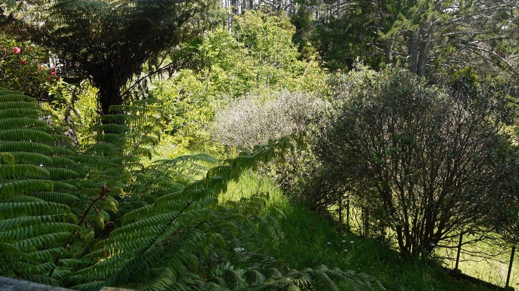 1008C East Coast Road, Fairview Heights, Auckland - Carousel 6