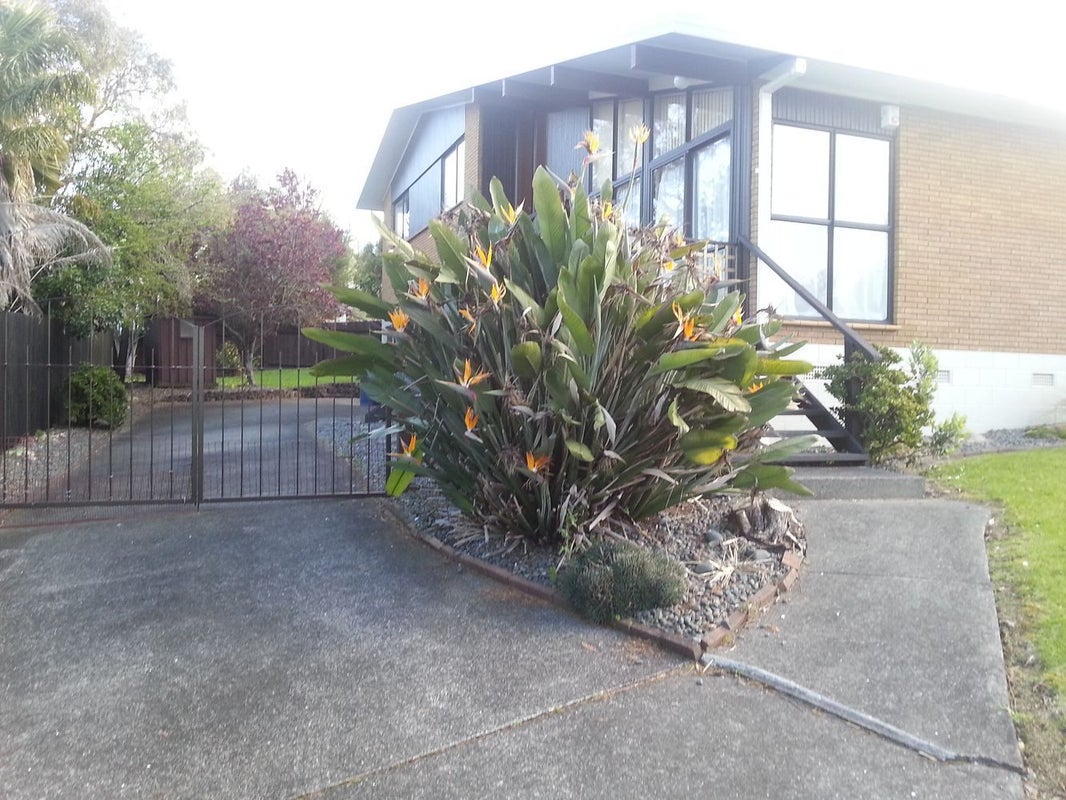 3 Naviti Place, Browns Bay, Auckland - Carousel 2