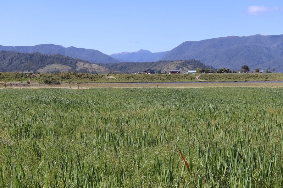 0 Karamea Highway, Karamea, Karamea - Carousel 1