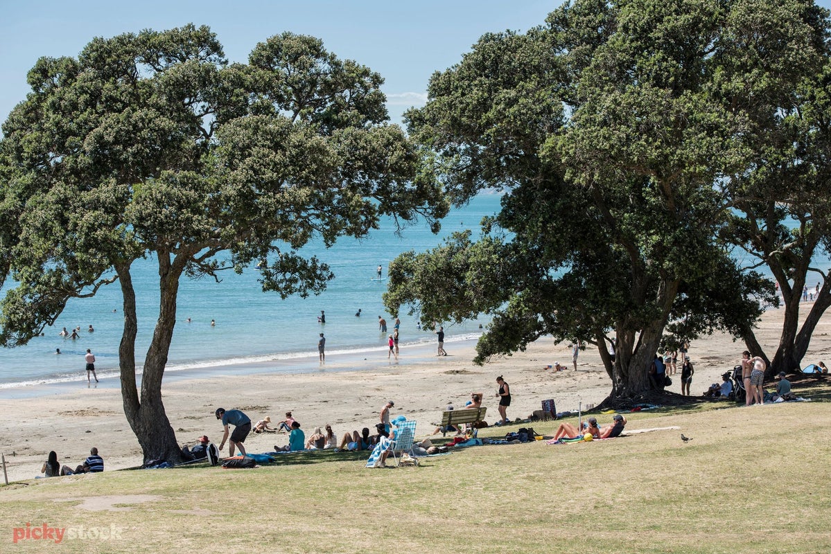 203/10 Auburn Street, Takapuna, Auckland - Carousel 12