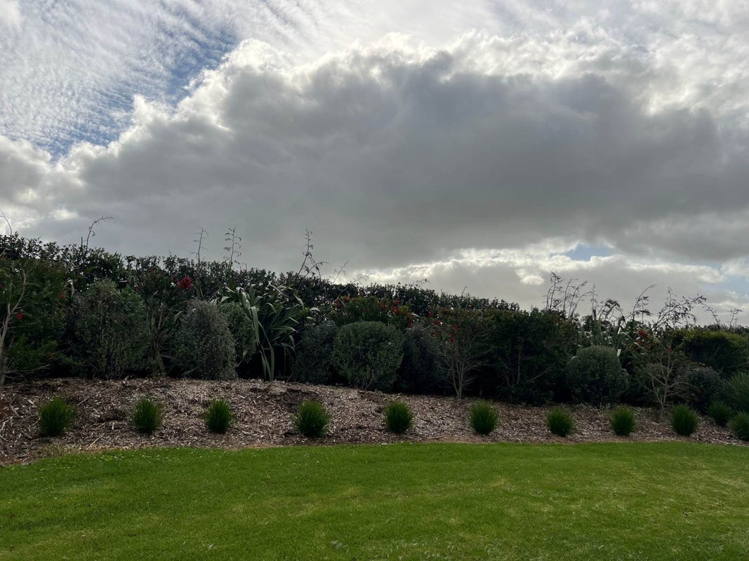 200 Honey Road, Waiuku - Carousel 8