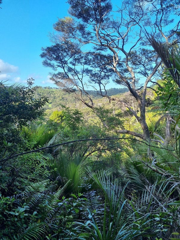 305 Wairere Road, Waitakere, Auckland - Carousel 10